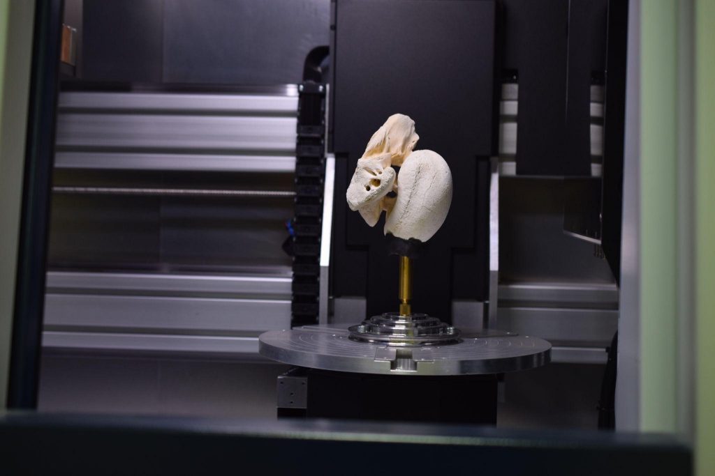 Micro-CT IPGP-Cenpat