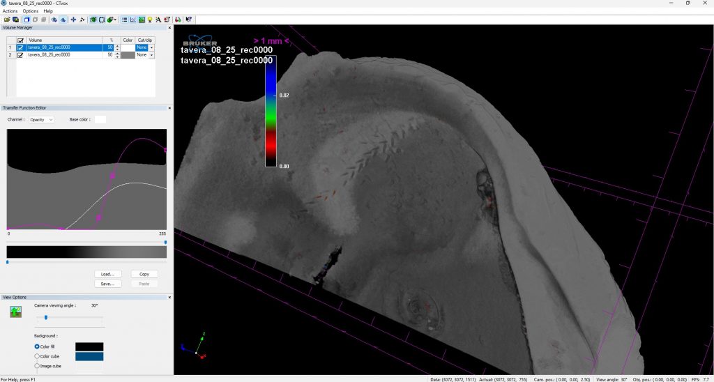 Micro-CT IPGP-Cenpat